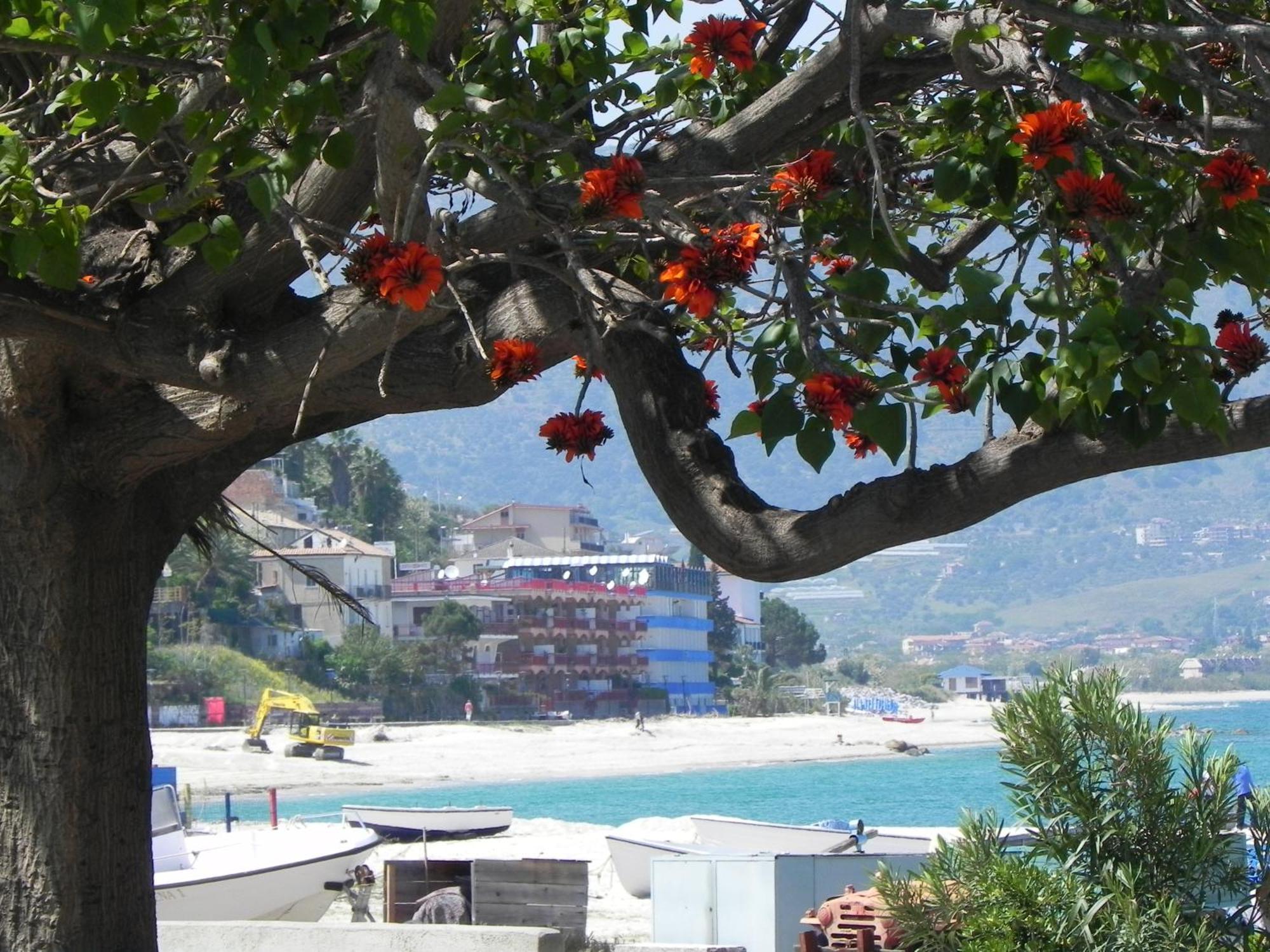 San Domenico Hotel سوفيراتو مارينا المظهر الخارجي الصورة