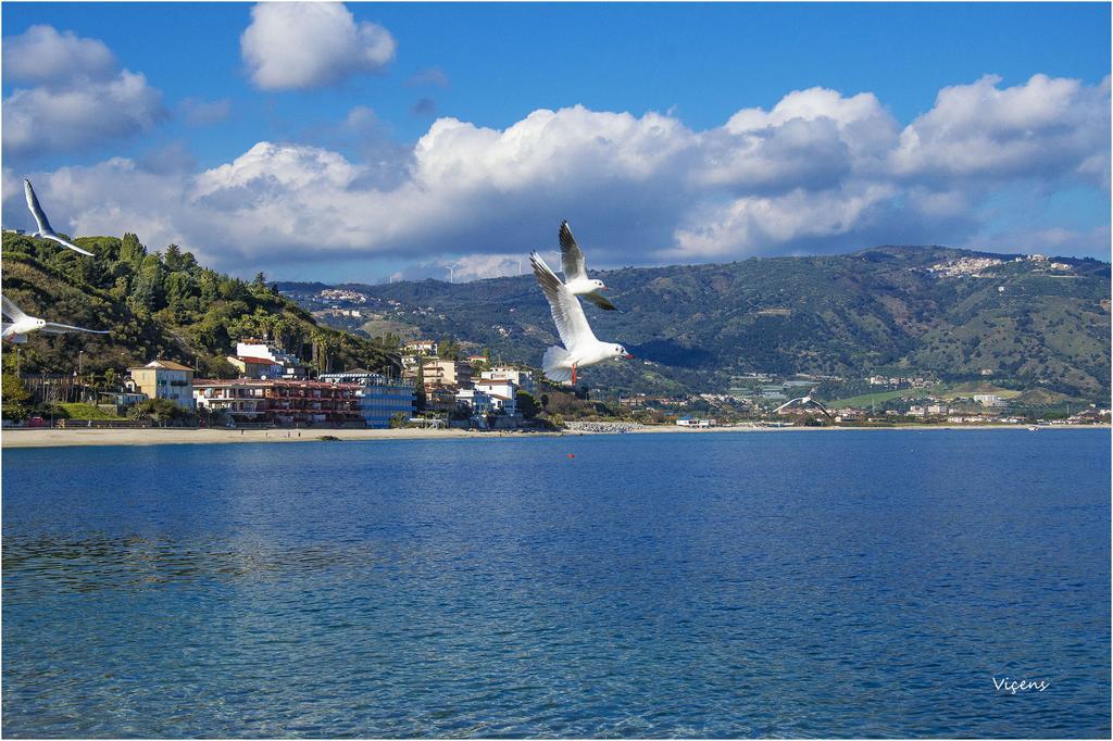 San Domenico Hotel سوفيراتو مارينا المظهر الخارجي الصورة